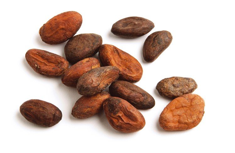 Cocoa Beans