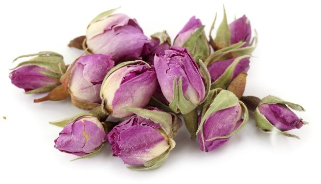 Τριαντάφυλλο Pink Rosa Ιράν
