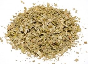 ΓΚΙΝΓΚΟ ΜΠΙΛΟΜΠΑ  Φ. GINGKO BILOBA  ΚΙΝΑ