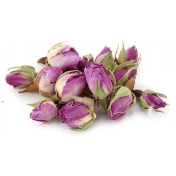 Batavia Τριαντάφυλλο Pink Rosa Ιράν