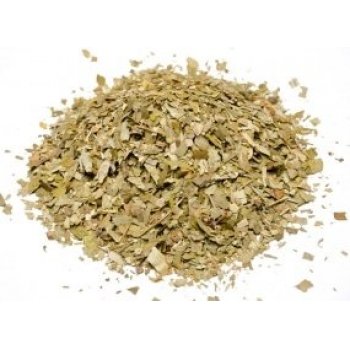 Batavia ΓΚΙΝΓΚΟ ΜΠΙΛΟΜΠΑ  Φ. GINGKO BILOBA  ΚΙΝΑ